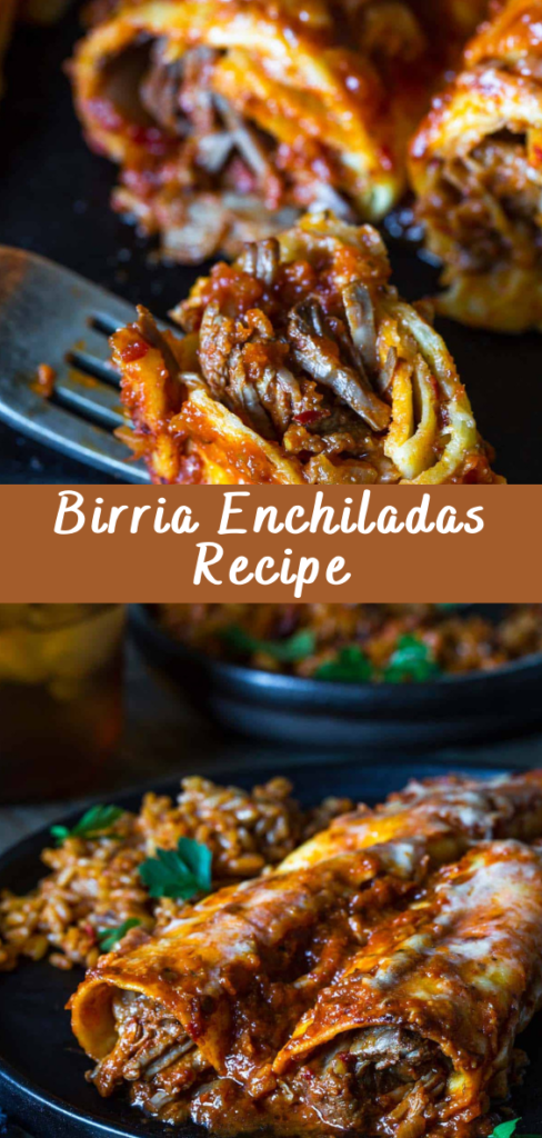 Birria Enchiladas Recipe Cheff Recipes