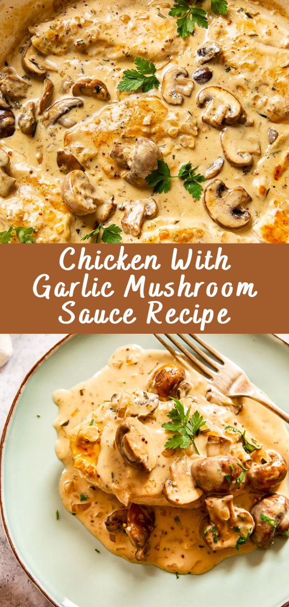 Chicken With Garlic Mushroom Sauce Recipe | Cheff Recipes