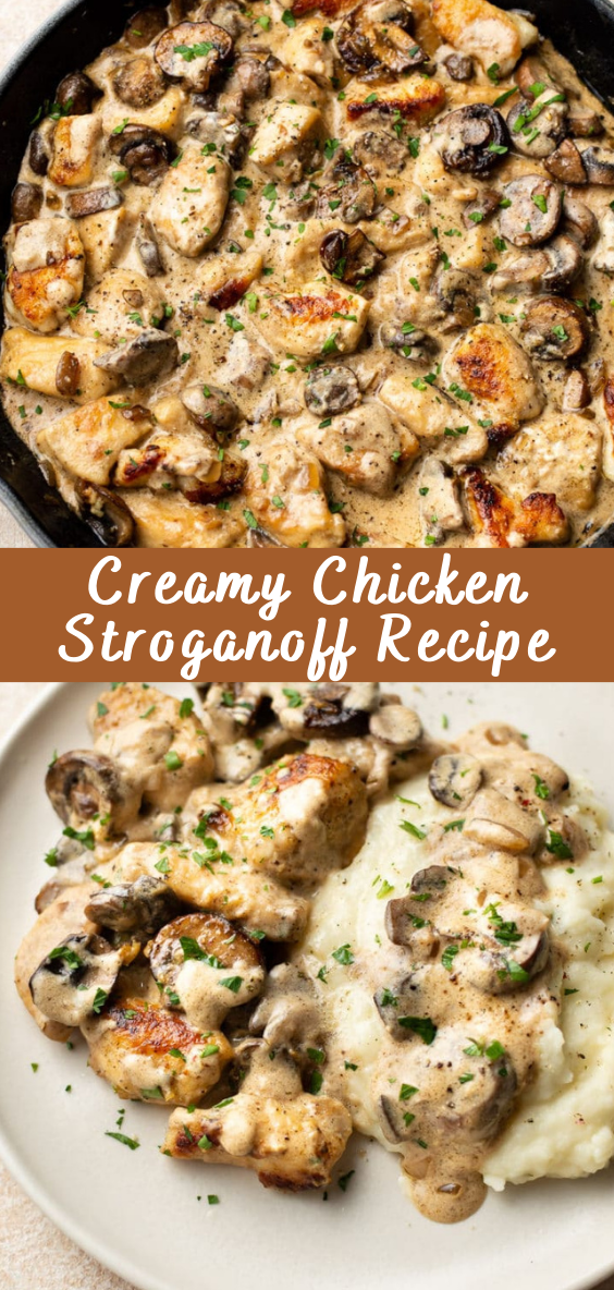 Creamy Chicken Stroganoff Recipe - Cheff Recipes