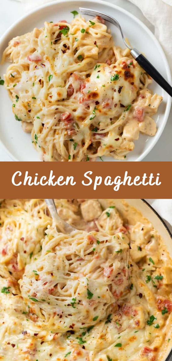Chicken Spaghetti | Cheff Recipes
