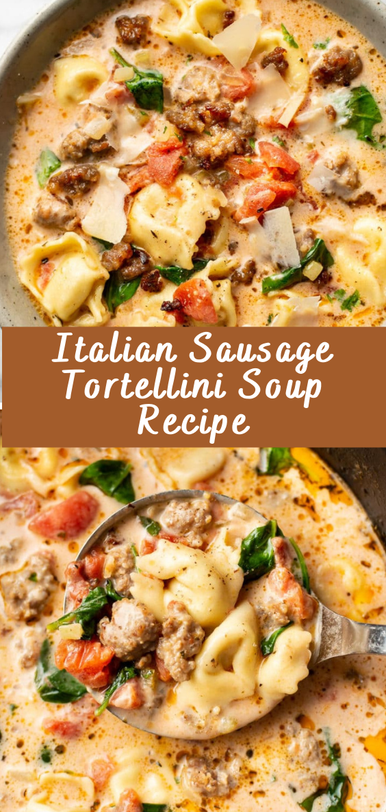 Italian Sausage Tortellini Soup Recipe - Cheff Recipes