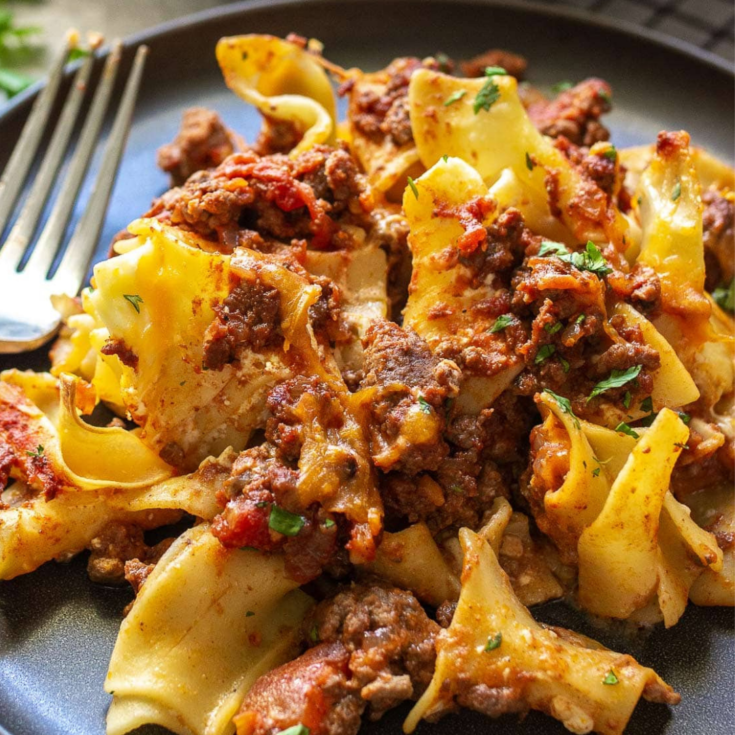 Sour Cream Beef Noodle Casserole Recipe - Cheff Recipes