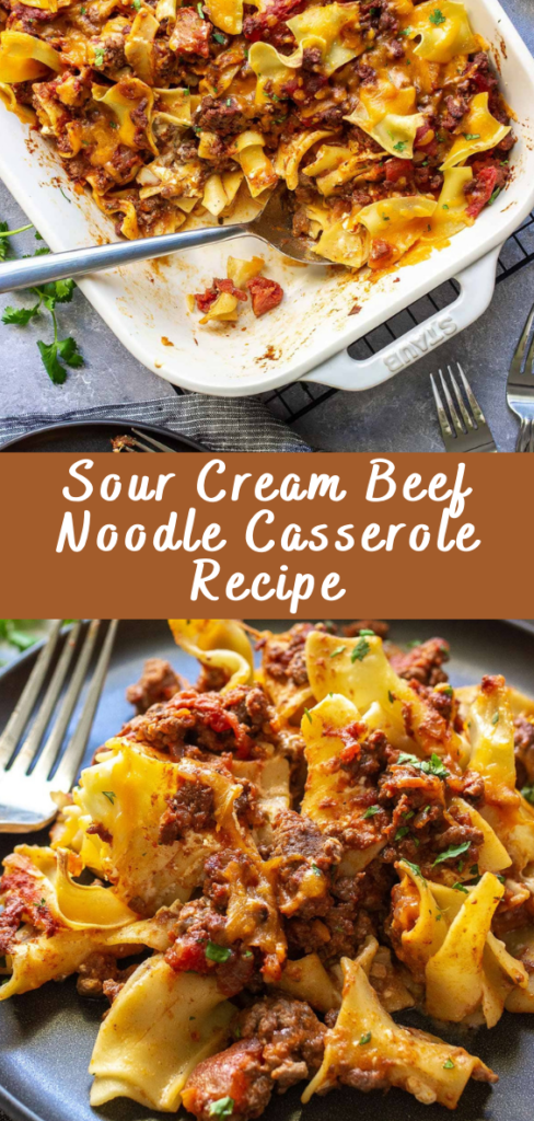 Sour Cream Beef Noodle Casserole Recipe - Cheff Recipes