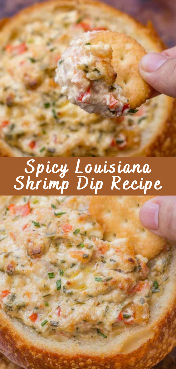 Spicy Louisiana Shrimp Dip Recipe | Cheff Recipes