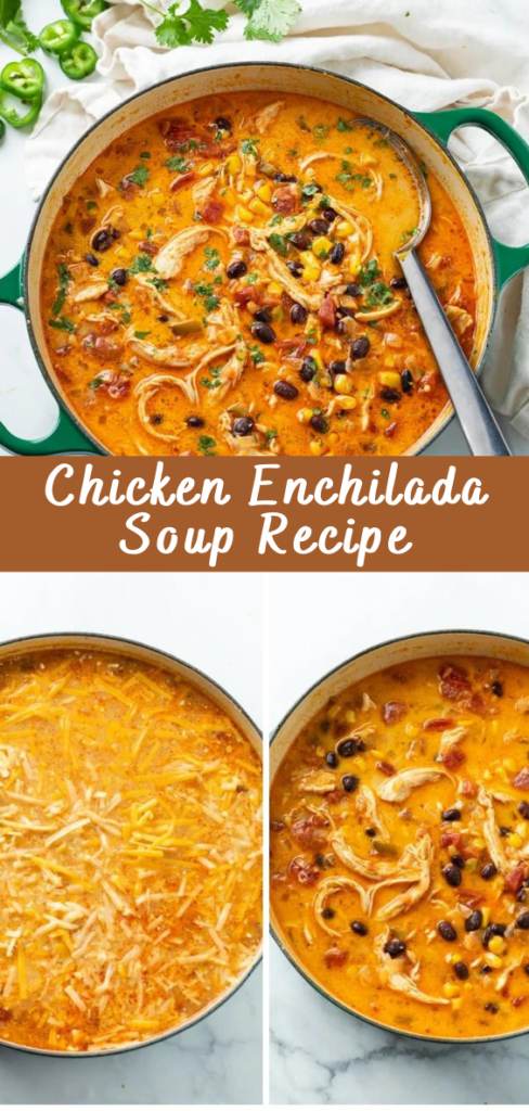 Chicken Enchilada Soup Recipe - Cheff Recipes