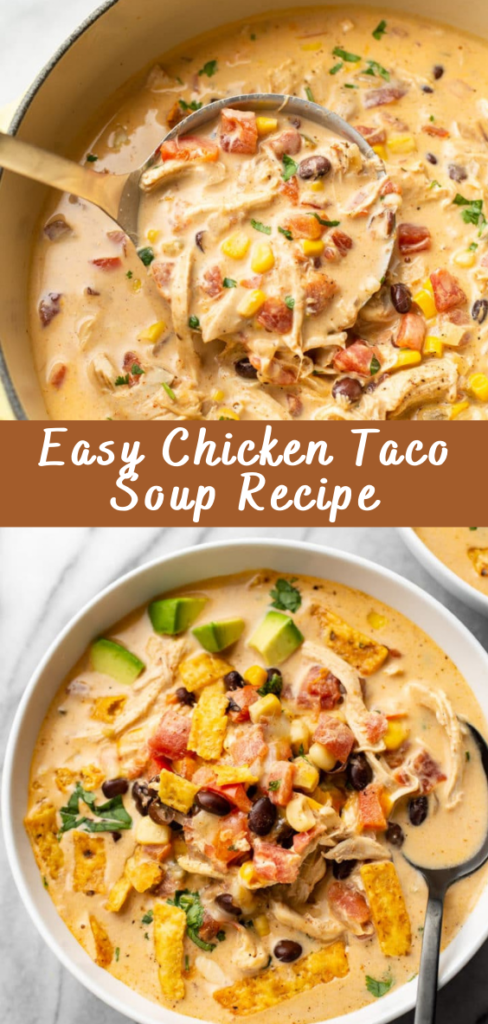 Easy Chicken Taco Soup Recipe - Cheff Recipes