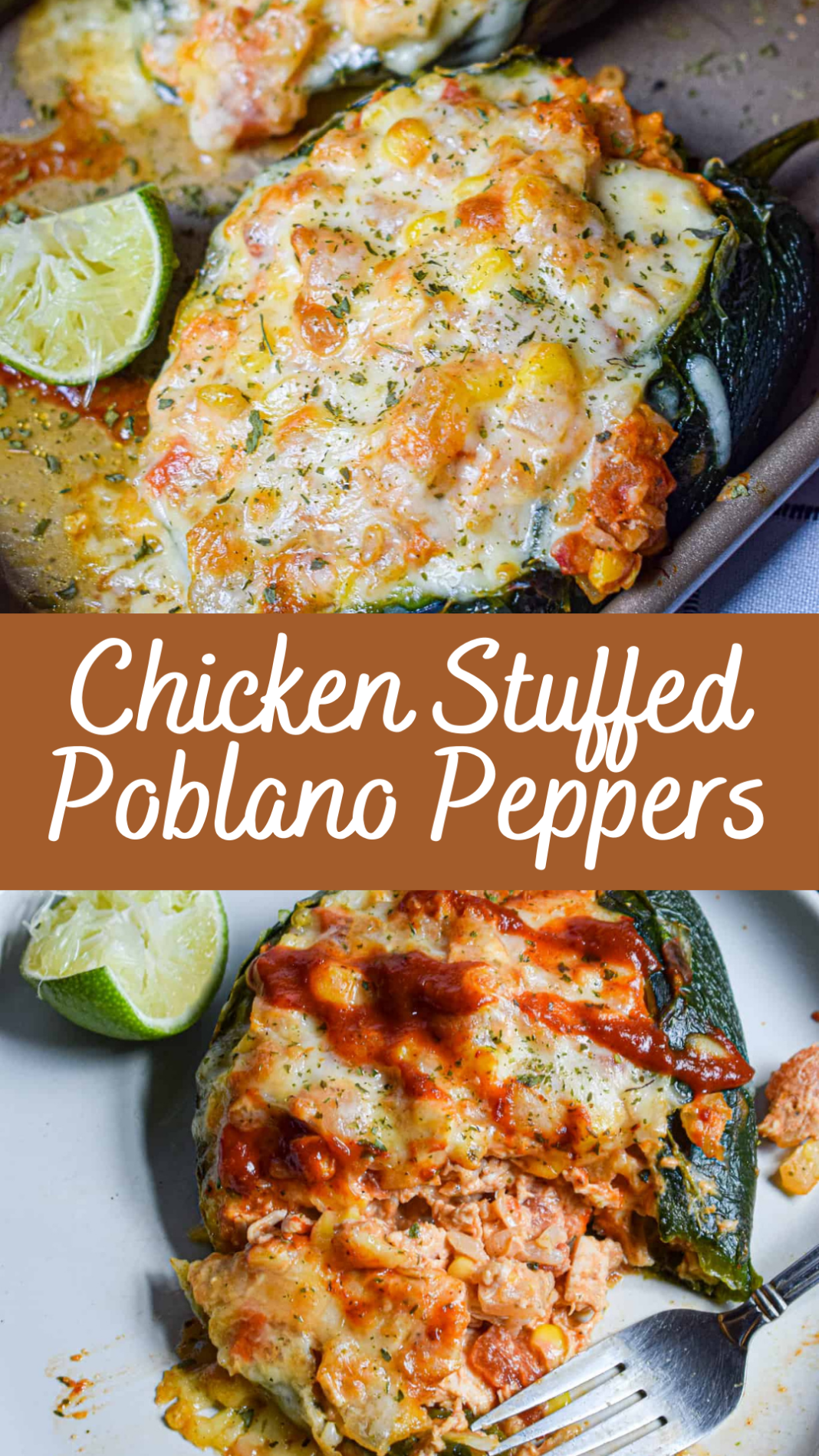 Chicken Stuffed Poblano Peppers Recipe Cheff Recipes