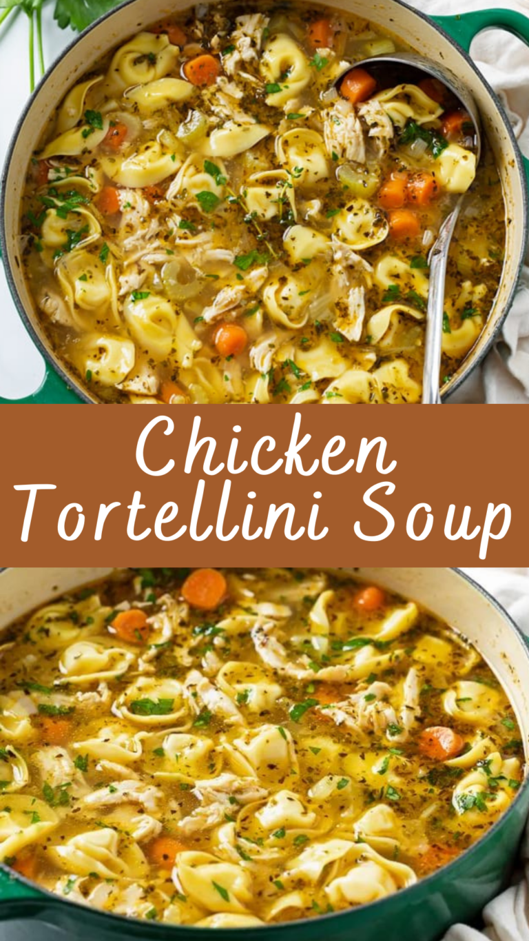 Chicken Tortellini Soup Recipe Cheff Recipes