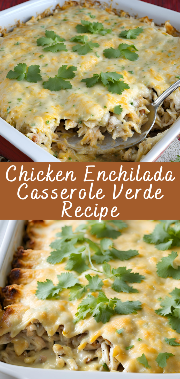 Chicken Enchilada Casserole Verde Recipe Cheff Recipes 