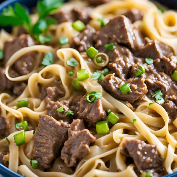 Beef and Noodles Recipe