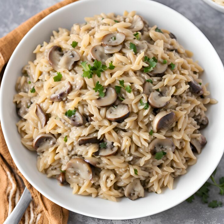 Creamy Ground Turkey and Mushroom Orzo Recipe