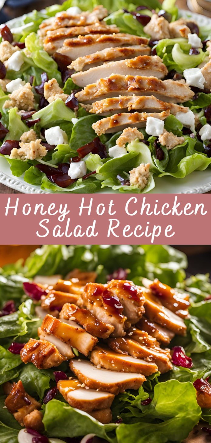 Honey Hot Chicken Salad Recipe | Cheff Recipes