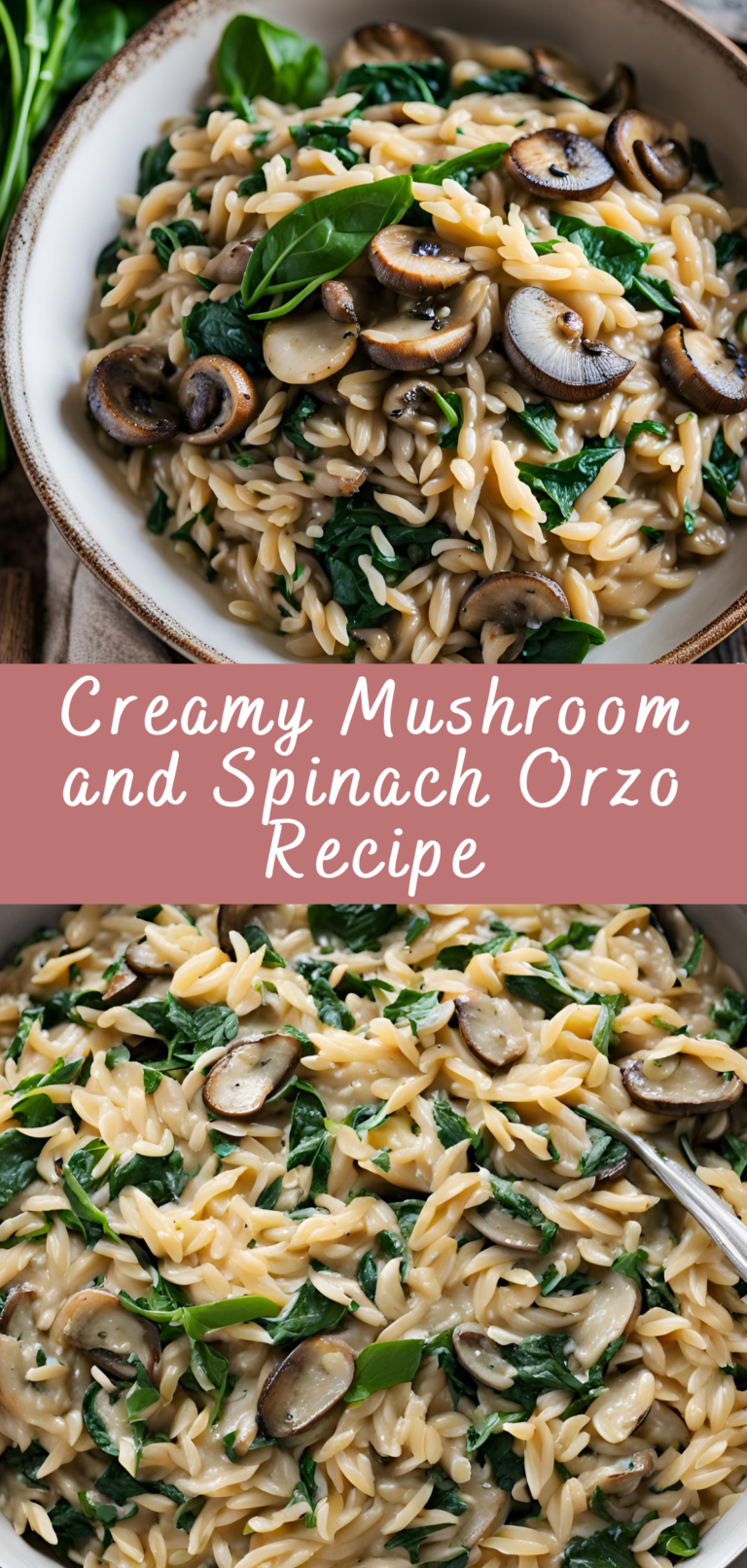 Creamy Mushroom and Spinach Orzo Recipe | Cheff Recipes