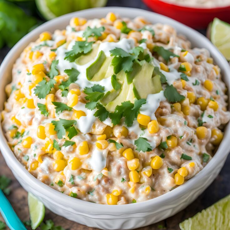 Slow Cooker Mexican Street Corn Dip Recipe