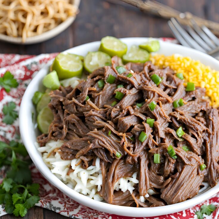 Crock Pot Shredded Beef Recipe