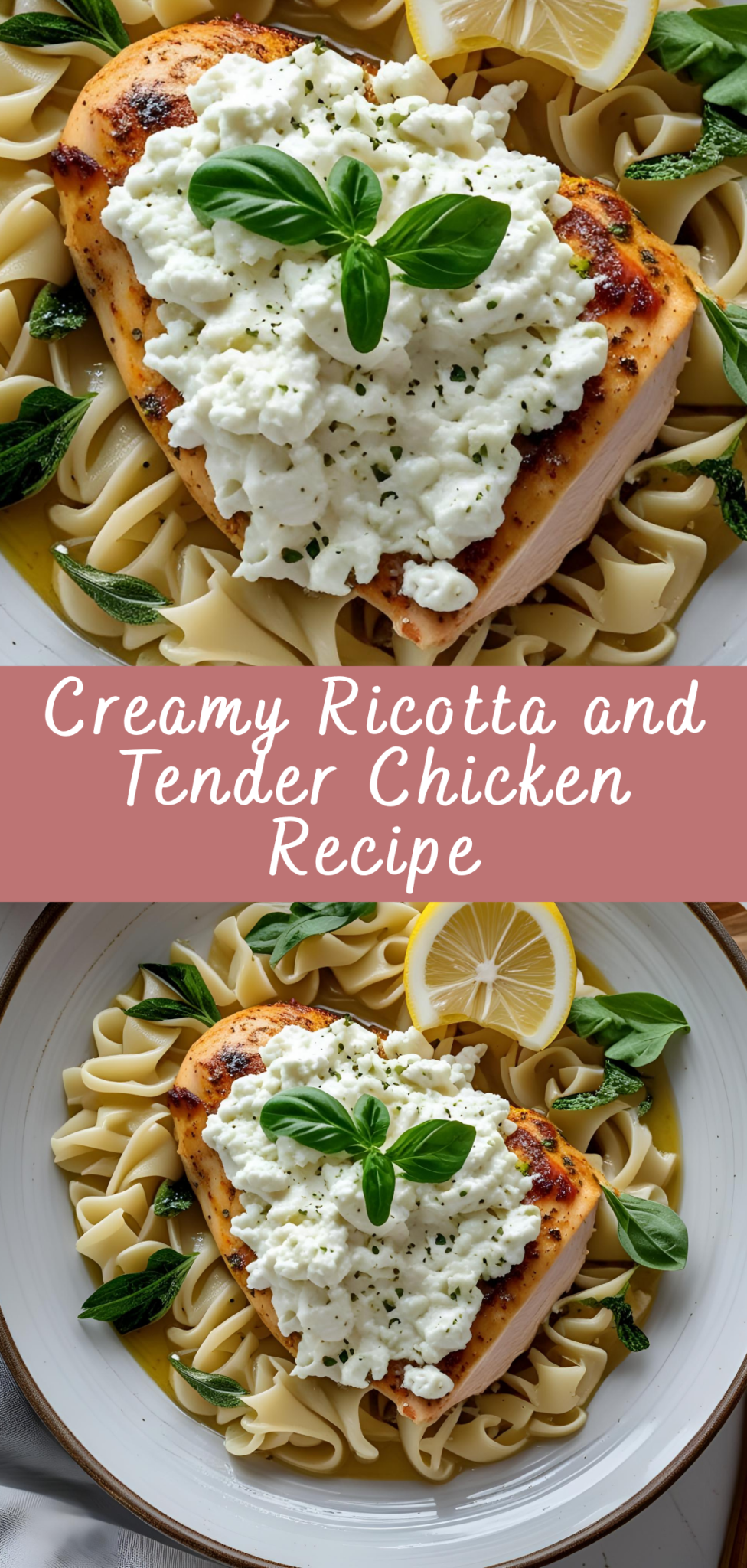 Creamy Ricotta and Tender Chicken Recipe | Cheff Recipes