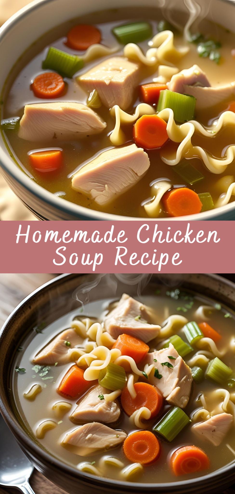 Homemade Chicken Soup Recipe Cheff Recipes Homemade Chicken Soup Recipe Cheff Recipes