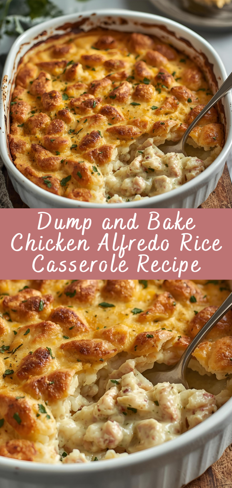 Dump and Bake Chicken Alfredo Rice Casserole Recipe | Cheff Recipes