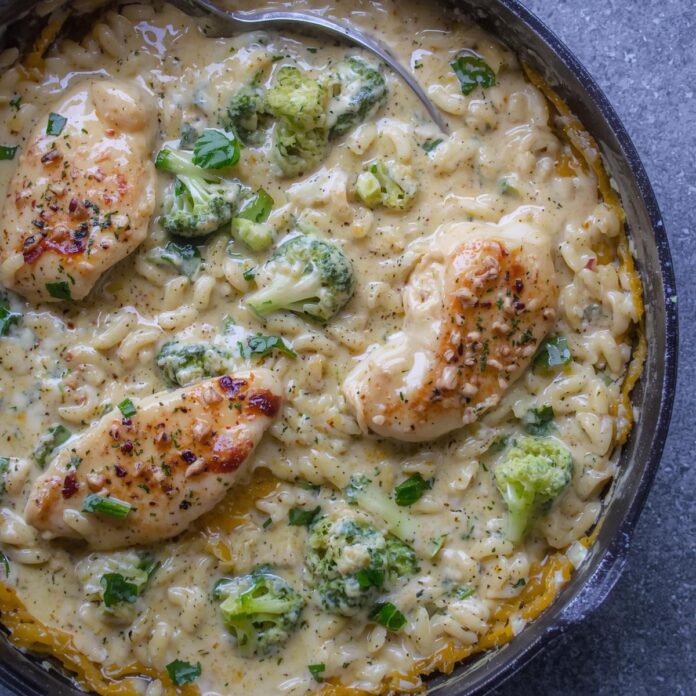 Creamy Cheesy Chicken Broccoli Orzo